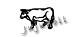 jujucow